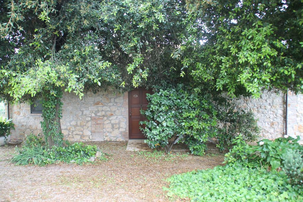 Case Cordovani Magliano in Toscana Exterior photo