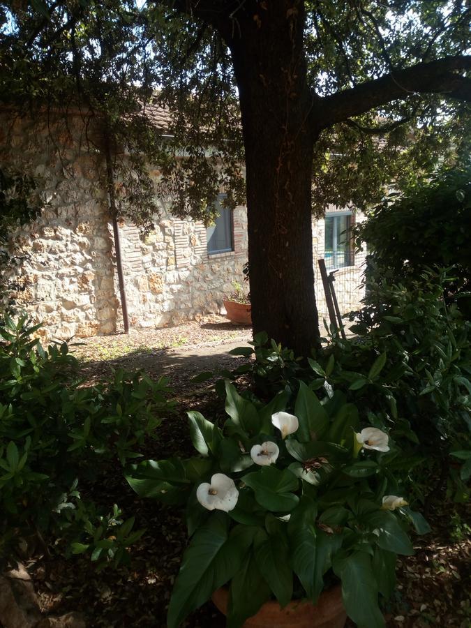 Case Cordovani Magliano in Toscana Exterior photo