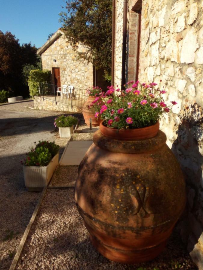 Case Cordovani Magliano in Toscana Exterior photo